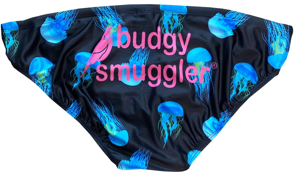 Box Jelly Fish - Image 3